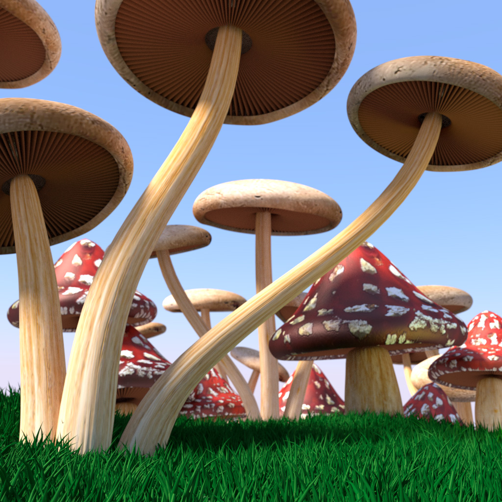 Alice in Wonderland: The Mushrooms